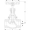 Globe valve Type: 250 Bronze Internal thread (BSPP) PN16